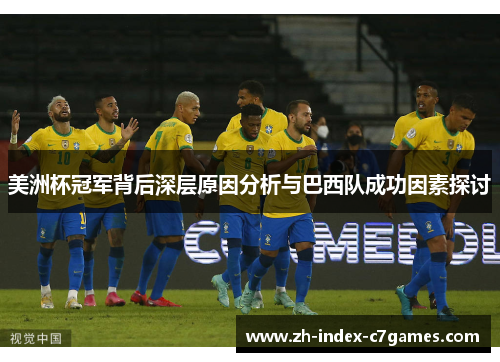 美洲杯冠军背后深层原因分析与巴西队成功因素探讨