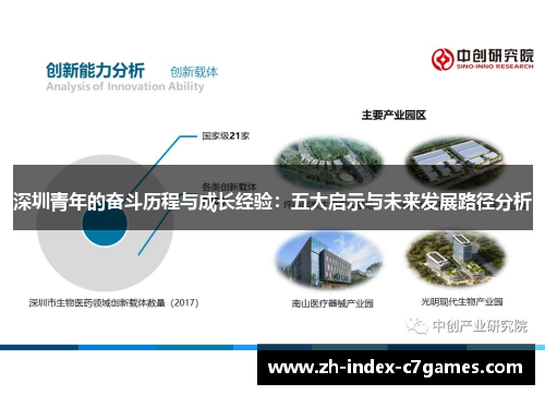 深圳青年的奋斗历程与成长经验：五大启示与未来发展路径分析